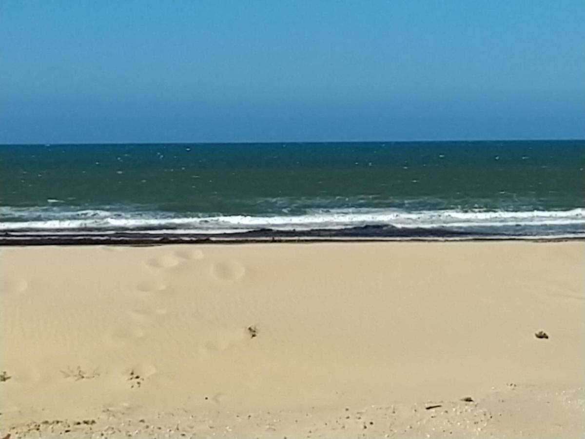 L'Ocenoa Villa Mimizan-Plage Ngoại thất bức ảnh